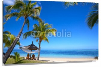 Lienzo Palmeras en playa caribe